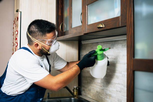 Professional Pest Control in Atlantic Beach, NY
