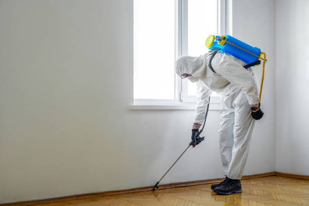 Best Wasp Removal Services  in Atlantic Beach, NY