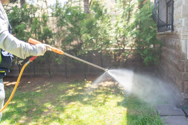 Best Insect Control  in Atlantic Beach, NY