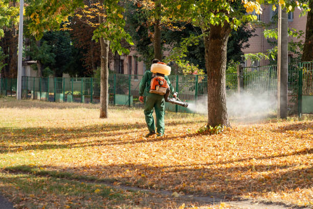 Best Pest Removal Services  in Atlantic Beach, NY