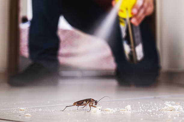 Pest Control for Restaurants in Atlantic Beach, NY